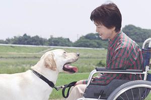 【2025年最新】文京区で大腸内視鏡検査を受けるなら知っておきたい完全ガイド