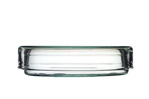 山形で腎機能を守るための生活習慣と医療機関の選び方ガイド