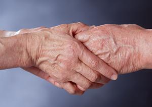 歯の健康を守るなら信頼の【歯医者】和歌山市で予防歯科に注力【最新2022年版】