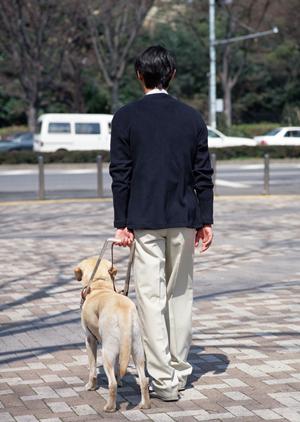 長岡市でインプラント治療を受けるなら知っておきたいポイントとおすすめ医院ガイド