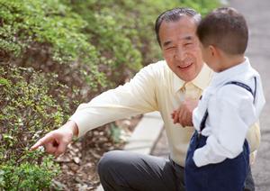 機能性と強度性に優れたインプラント