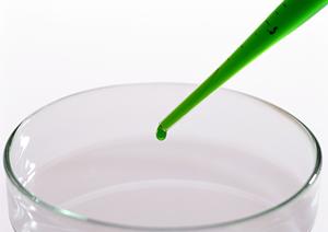 大阪市で安心して受けられる内視鏡検査の最前線ガイド?信頼と安全性を重視したクリニック選び