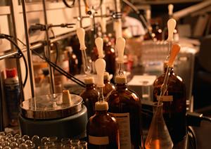 さいたま市で心のケアと診察をしています