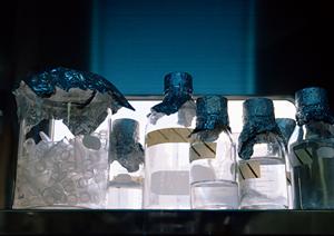 日本橋の美容皮膚科でプラセンタ投与